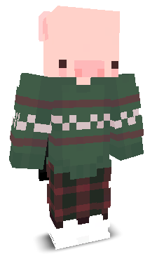 User's Minecraft appearance