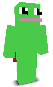 User's Minecraft appearance