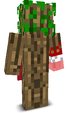 User's Minecraft appearance