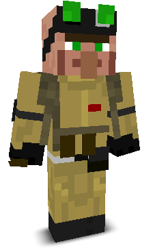 User's Minecraft appearance