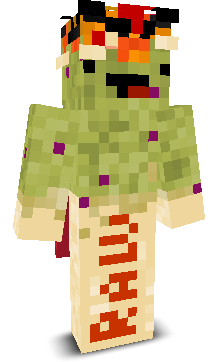 User's Minecraft appearance