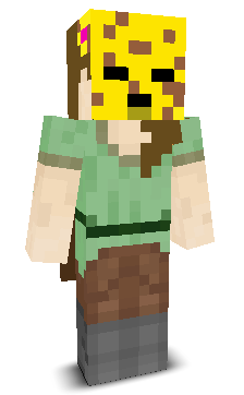 User's Minecraft appearance