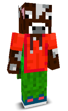 User's Minecraft appearance