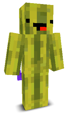 User's Minecraft appearance