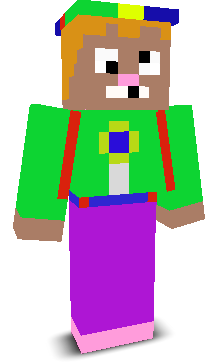 User's Minecraft appearance