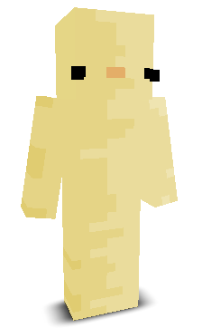 User's Minecraft appearance