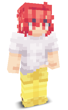 User's Minecraft appearance