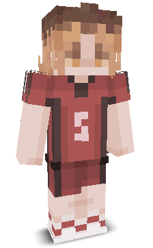 User's Minecraft appearance