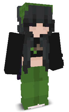 User's Minecraft appearance