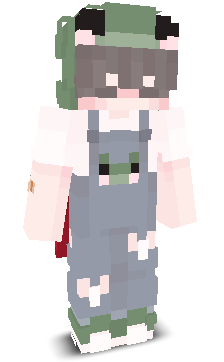 User's Minecraft appearance