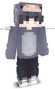 User's Minecraft appearance