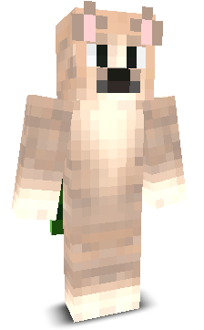 User's Minecraft appearance