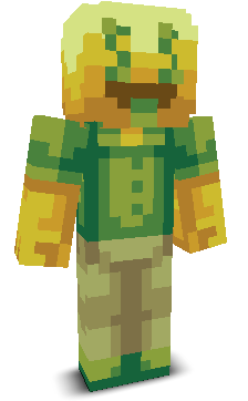 User's Minecraft appearance