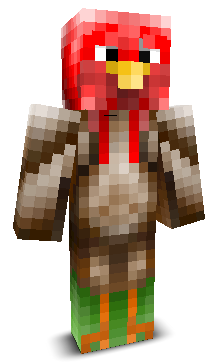 User's Minecraft appearance