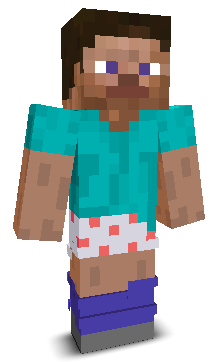 User's Minecraft appearance