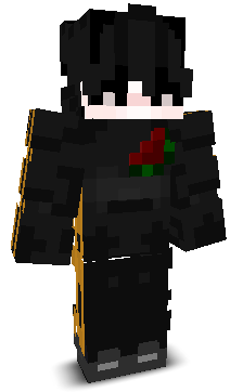Skin gracza IvanBankomacik
