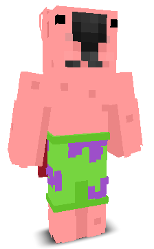 User's Minecraft appearance