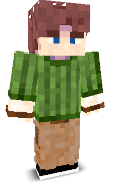 User's Minecraft appearance