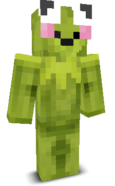 User's Minecraft appearance