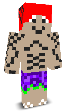 User's Minecraft appearance