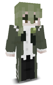 User's Minecraft appearance