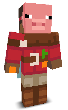 User's Minecraft appearance
