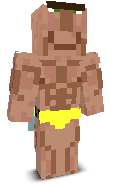 User's Minecraft appearance