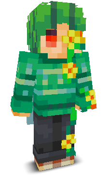 User's Minecraft appearance