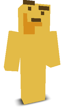 User's Minecraft appearance