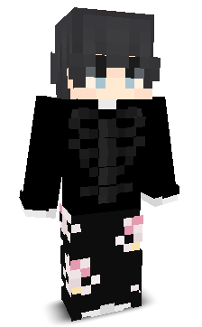 Skin gracza NyxenW