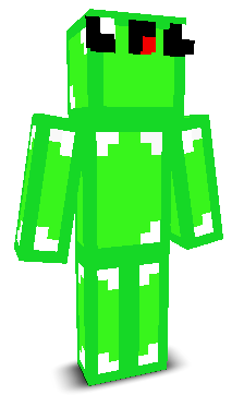 User's Minecraft appearance