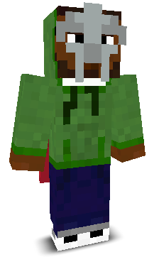 User's Minecraft appearance