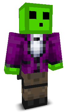 User's Minecraft appearance