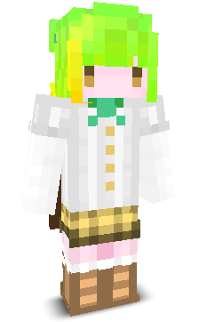 User's Minecraft appearance