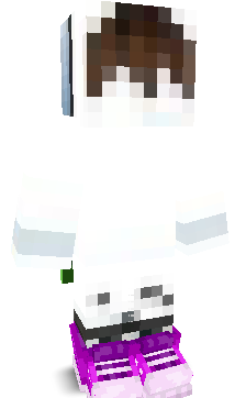 User's Minecraft appearance