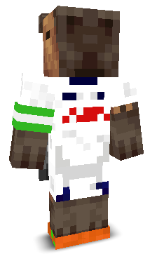 User's Minecraft appearance