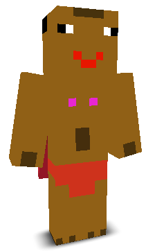 User's Minecraft appearance