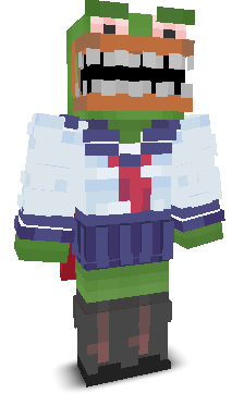 User's Minecraft appearance