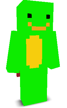 User's Minecraft appearance