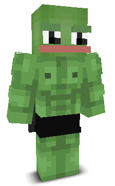 User's Minecraft appearance