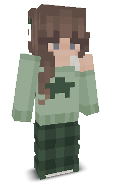 User's Minecraft appearance