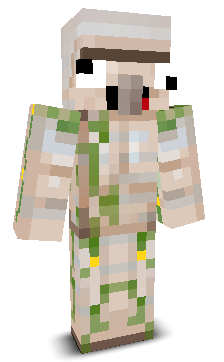 User's Minecraft appearance