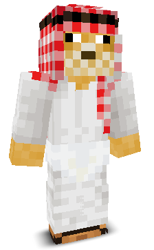 User's Minecraft appearance