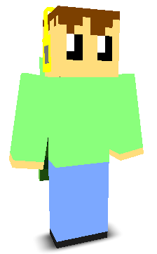 User's Minecraft appearance