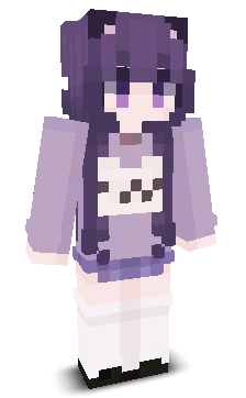 User's Minecraft appearance