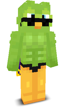 User's Minecraft appearance