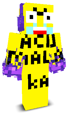 User's Minecraft appearance