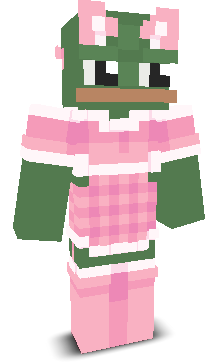 User's Minecraft appearance