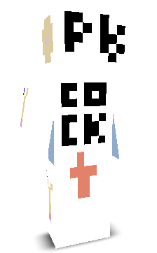 User's Minecraft appearance