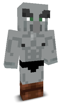 User's Minecraft appearance